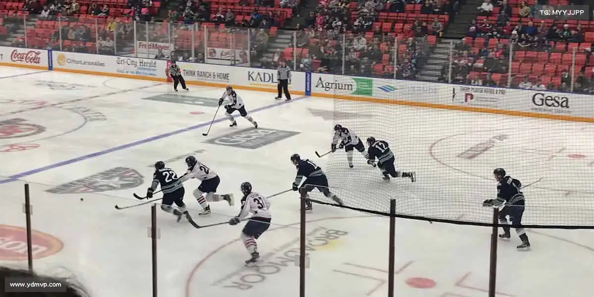 九游娱乐中国官网——⛸️⚡速滑冰场，电光火石！